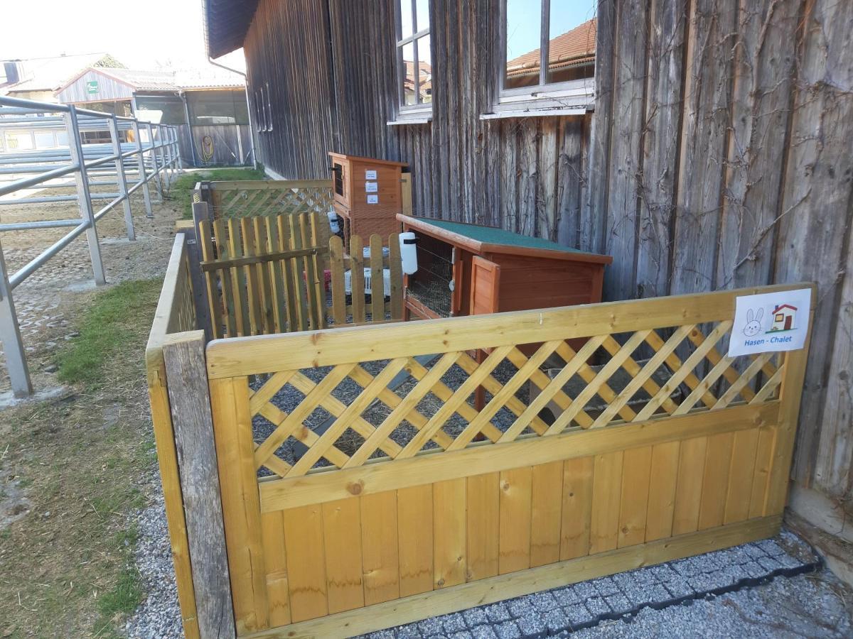 Ferienwohnung Pferdehof Pankratz Iffeldorf المظهر الخارجي الصورة